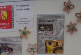 Nová struktura sociálních služeb